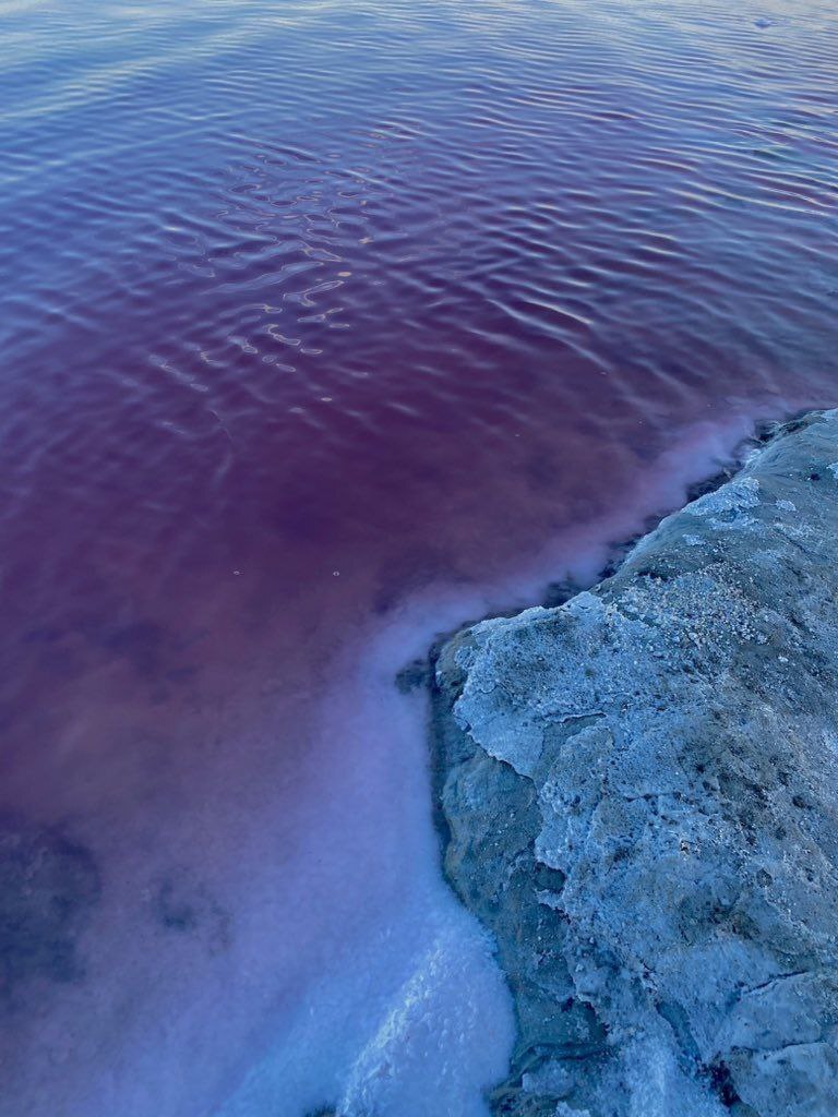 عکس‌های شگفت‌انگیز از حال خوشِ دریاچه ارومیه