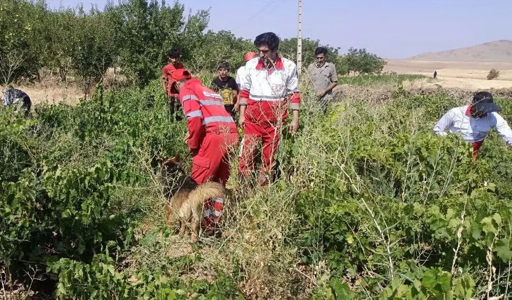 آخرین خبرها درباره دختربچه گمشده الیگودرزی