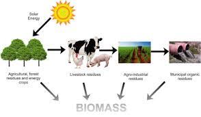 زیست‌توده (Biomass): منبع تجدیدپذیر انرژی (یک پزشک)