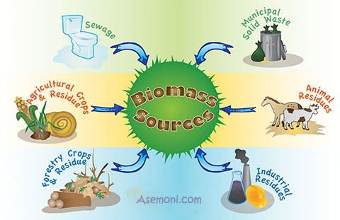 زیست‌توده (Biomass): منبع تجدیدپذیر انرژی (یک پزشک)