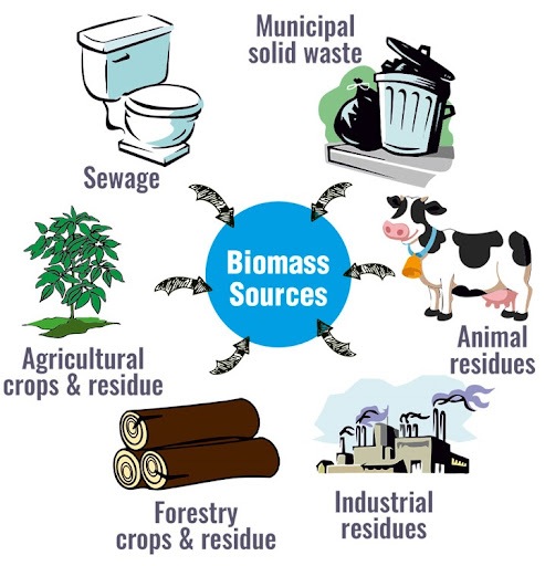 زیست‌توده (Biomass): منبع تجدیدپذیر انرژی (یک پزشک)