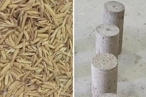 تبدیل ضایعات برنج با کمک هوش مصنوعی به بتُن