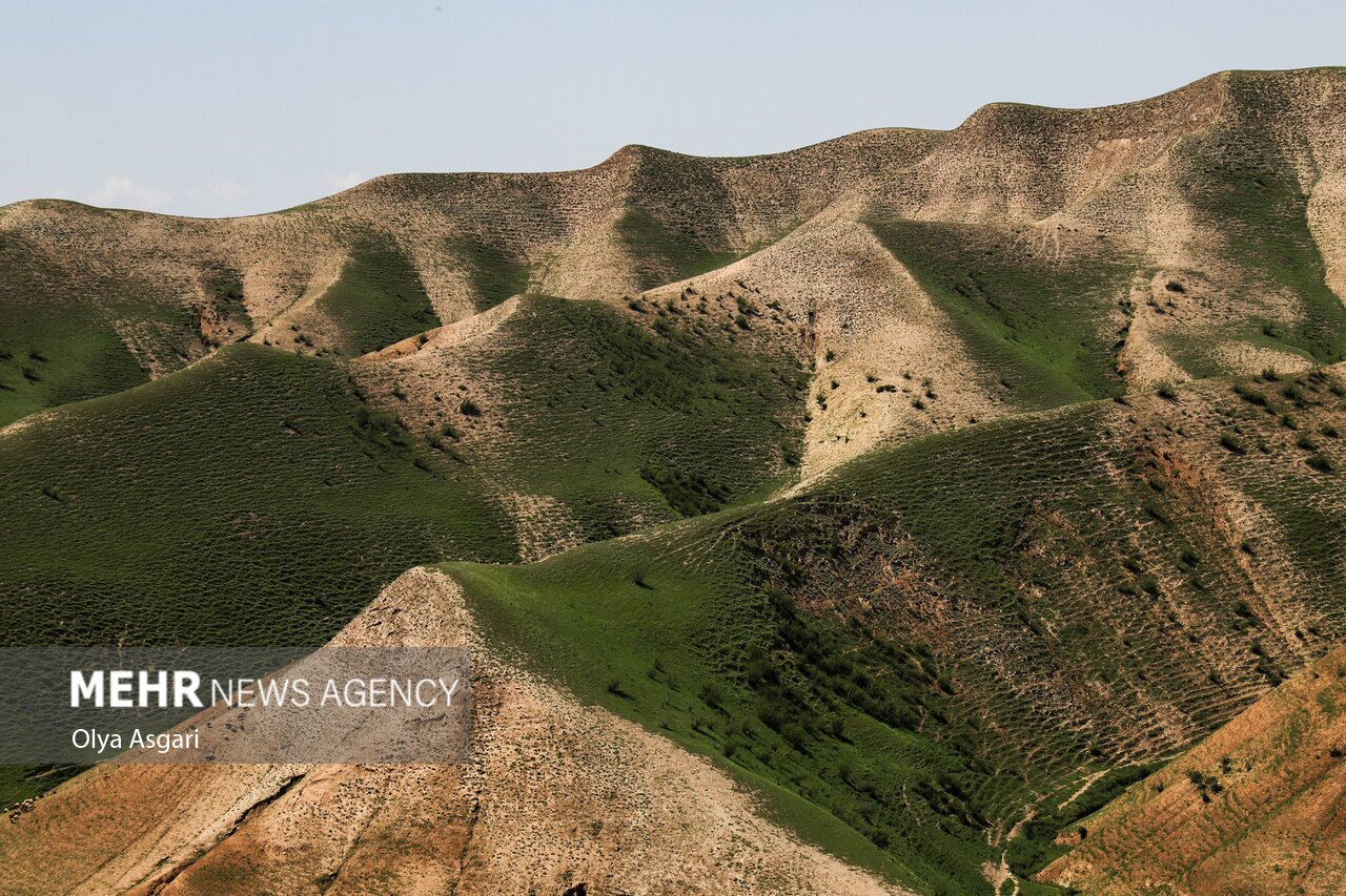 عکس‌های جذاب از تپه ماهورهای هزار دره (مهر)