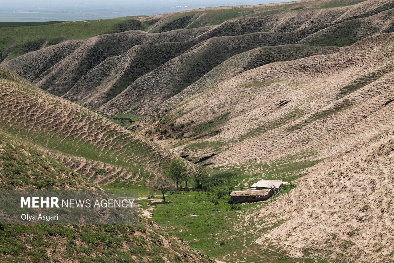 عکس‌های جذاب از تپه ماهورهای هزار دره (مهر)