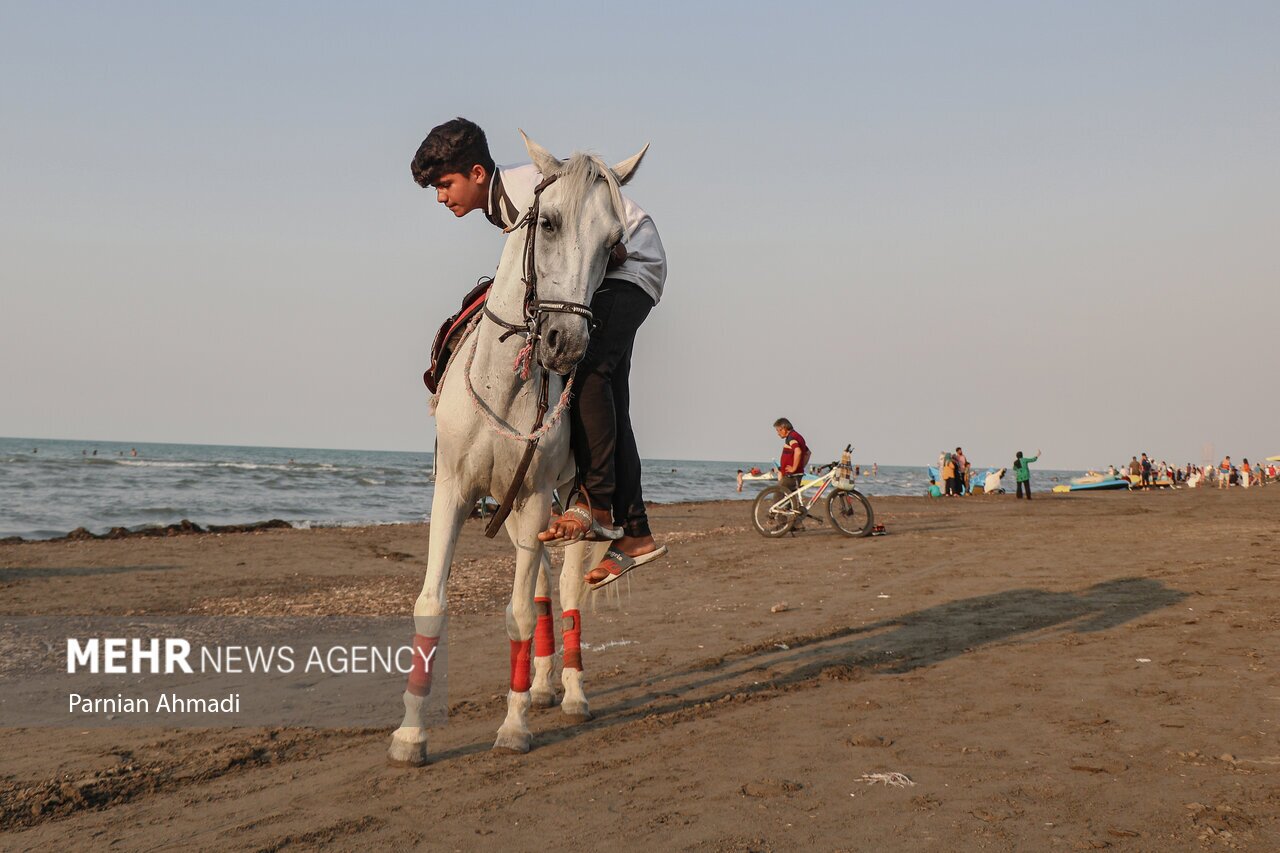 «ساحل خان»، قلب یک ایران را تسخیر کرد (مهر