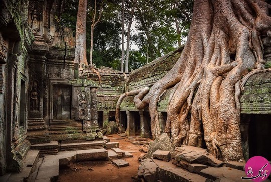 معبد انگورات، کامبوج