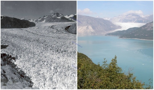 یخچال میور، آلاسکا، اوت ۱۹۴۱ و آگوست ۲۰۰۴ میلادی
