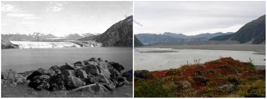 یخچال کارول، آلاسکا، اوت ۱۹۰۶ و سپتامبر ۲۰۰۳ میلادی
