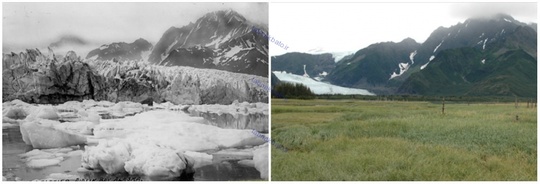 یخچال پدرسن، آلاسکا، تابستان ۱۹۱۷ و تابستان ۲۰۰۵ میلادی