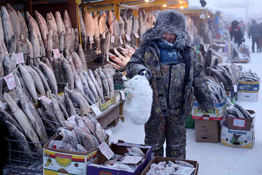 بازار مرکزی یاکوتسک به دلیل عدم کشت محصولات کشاورزی مملوء از ماهی و گوشت است
