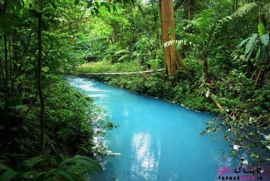 رودخانه ی فیروزه ای رنگ و زیبا در کاستاریکا