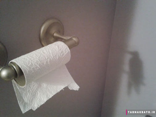 سایه ی دستمال توالت شبیه یک پرنده