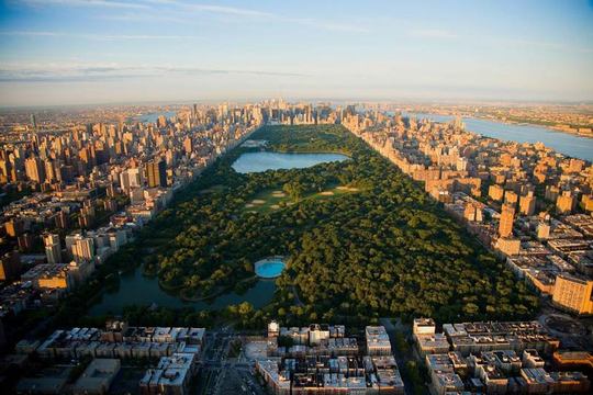 پارک مرکزی
پارک مرکزی، شاهکار معماری چشم‌انداز در طرح اصلی نیویورک است. این مکان به عنوان پارک شهری، فرجه‌ای برای فرار از زندگی شهری به طبیعت است.